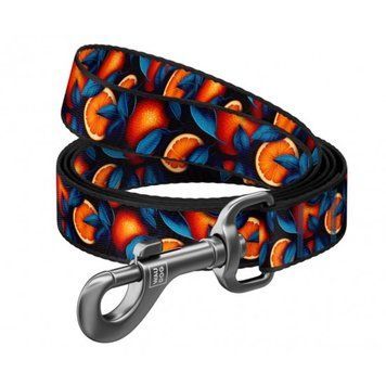 Повідець для собак Collar нейлоновий WAUDOG Nylon, малюнок "Апельсини", S, Ш 15 мм, Дов 122 см 4823089376257 фото