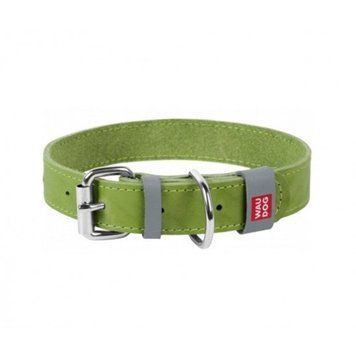 Нашийник для собак Collar Waudog Classic, шкіра, металева пряжка, Ш 20 мм, Дов. 30-39 см, салатовий 4823089313658 фото