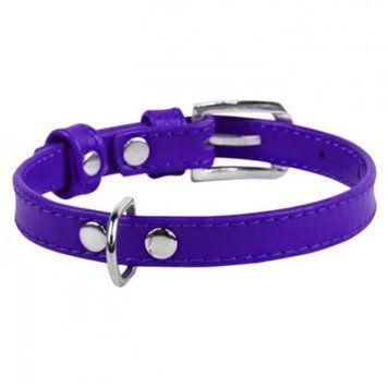 Нашийник для собак Collar Waudog Glamour без прикрас, Ш: 9 мм, Дов: 19-25 см, фіолетовий 4820152560674 фото