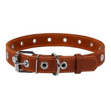 Нашийник для собак Collar безрозмірний, Ш 25 мм, Дов. 60 см, коричневий 4820152563989 фото